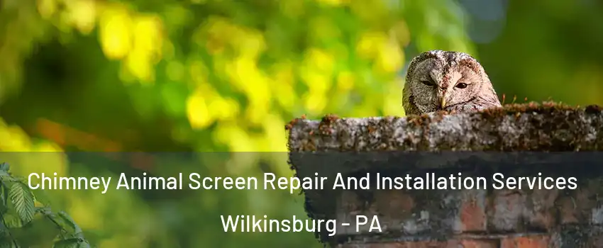 Chimney Animal Screen Repair And Installation Services Wilkinsburg - PA