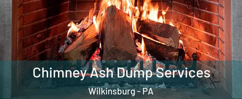 Chimney Ash Dump Services Wilkinsburg - PA