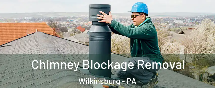 Chimney Blockage Removal Wilkinsburg - PA