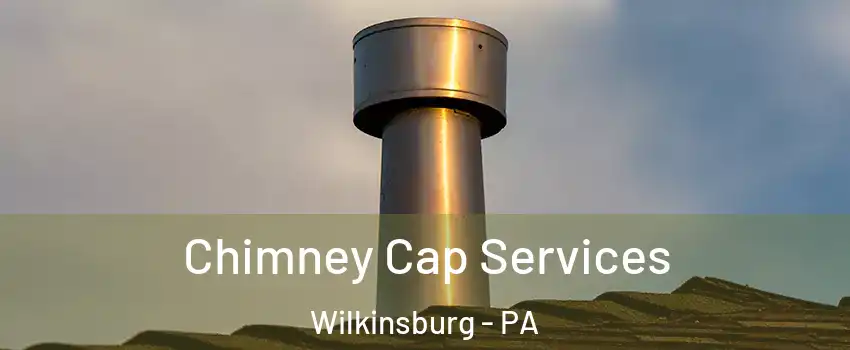 Chimney Cap Services Wilkinsburg - PA