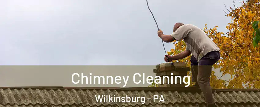 Chimney Cleaning Wilkinsburg - PA