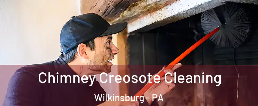 Chimney Creosote Cleaning Wilkinsburg - PA