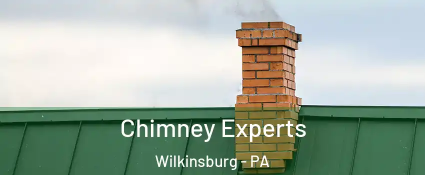 Chimney Experts Wilkinsburg - PA