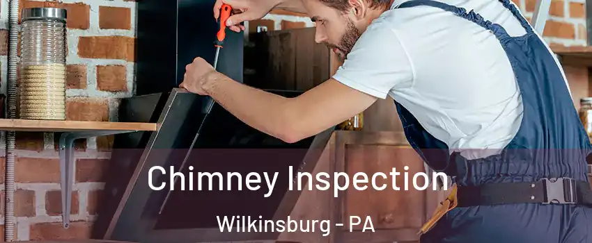 Chimney Inspection Wilkinsburg - PA