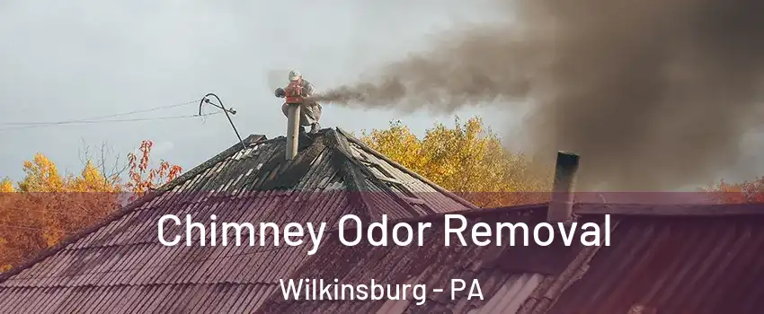 Chimney Odor Removal Wilkinsburg - PA