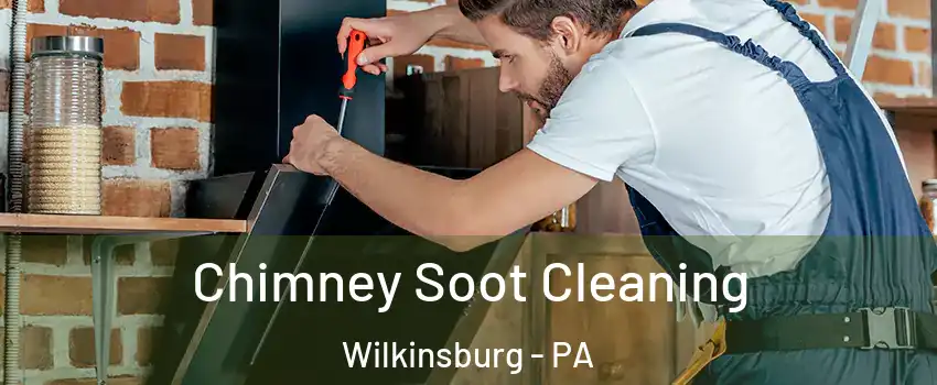 Chimney Soot Cleaning Wilkinsburg - PA