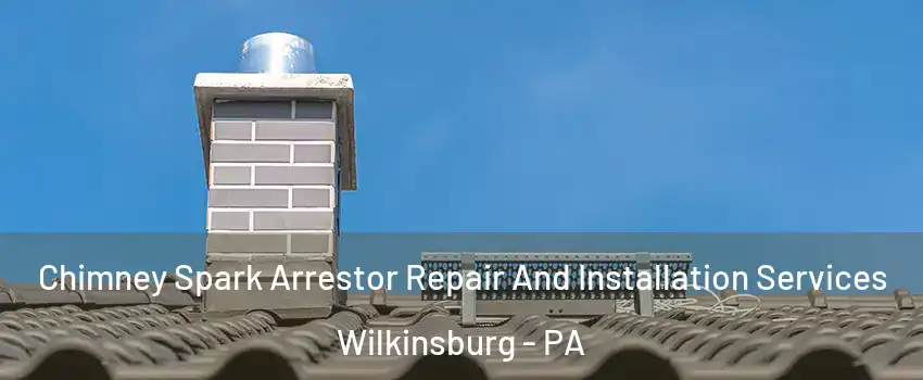 Chimney Spark Arrestor Repair And Installation Services Wilkinsburg - PA