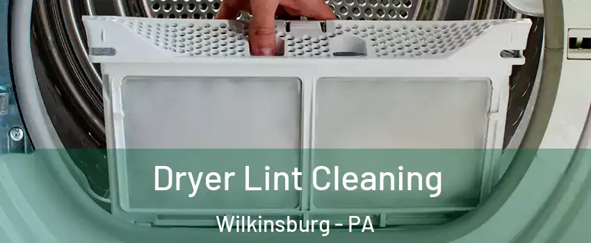 Dryer Lint Cleaning Wilkinsburg - PA