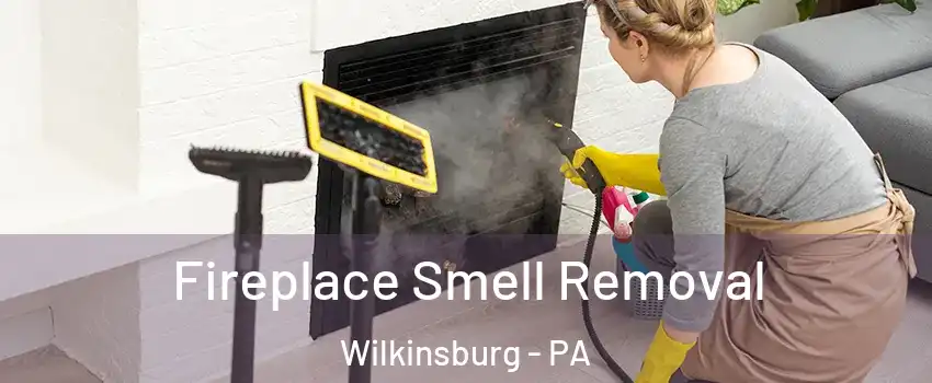 Fireplace Smell Removal Wilkinsburg - PA