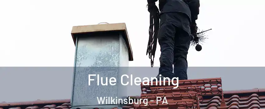 Flue Cleaning Wilkinsburg - PA